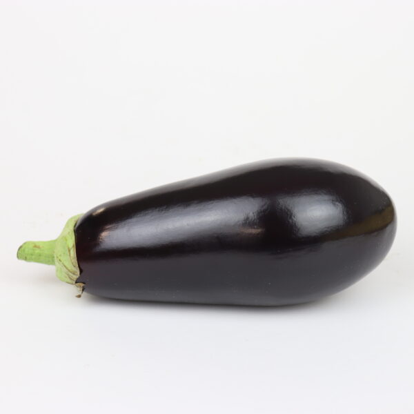 Spanish Aubergine